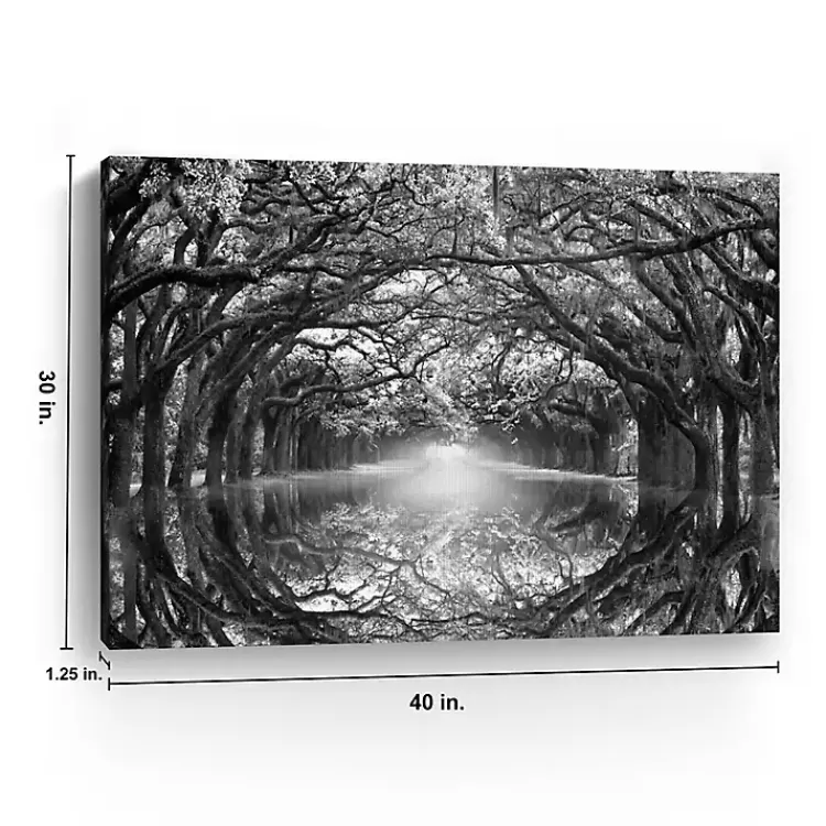 oak_alley_reflection_giclee_canvas_art_print_2.webp Oak Alley Reflection Giclee Canvas Art Print>Kirklands Home Flash Sale