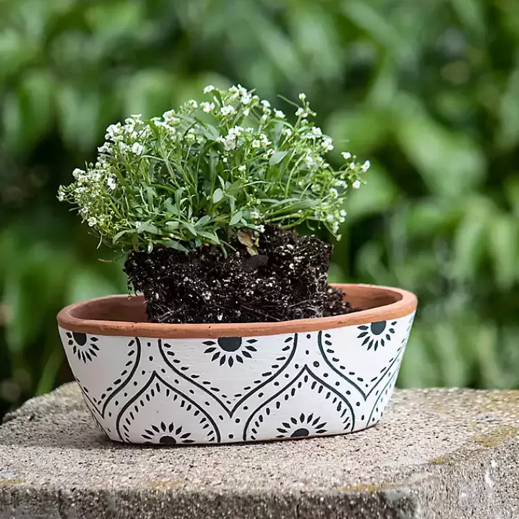 ogee_handthrown_terracotta_planter_6.webp Ogee Handthrown Terracotta Planter>Kirklands Home Outlet