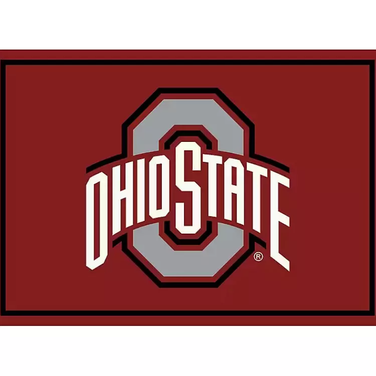 Ohio State University Area Rug, 4x6>Kirklands Home New