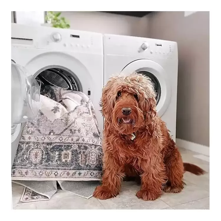 orange_global_motif_washable_runner_8.webp Orange Global Motif Washable Runner>Kirklands Home Hot