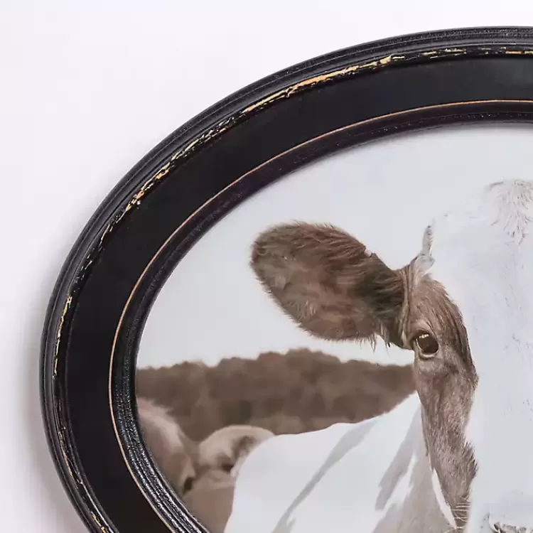 Oval Cow Selfie Framed Art>Kirklands Home Cheap
