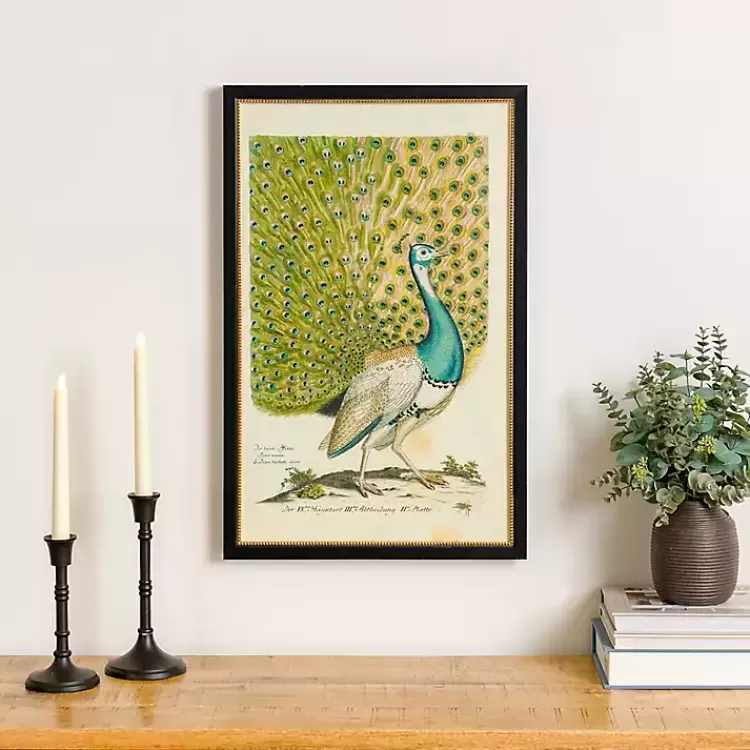 Peacock Framed Wall Art>Kirklands Home Cheap