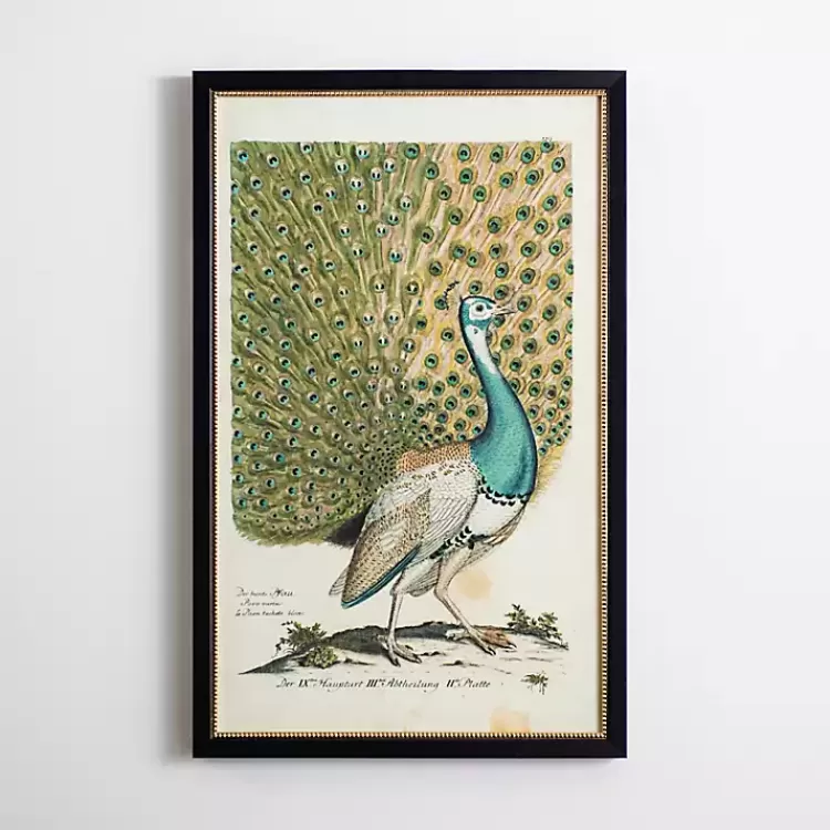 Peacock Framed Wall Art>Kirklands Home Cheap