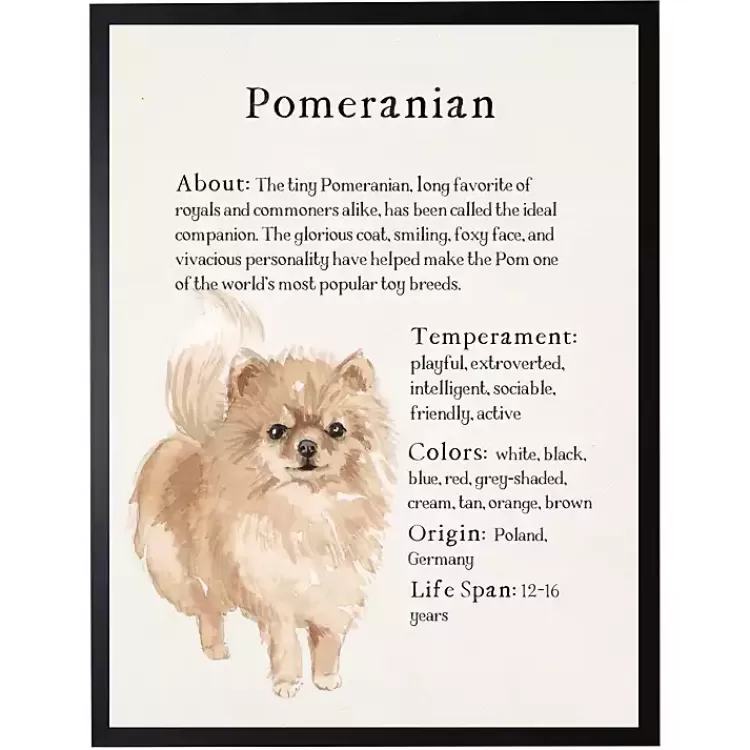 Pomeranian Facts Framed Wall Plaque>Kirklands Home Hot