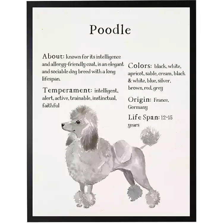 Poodle Facts Framed Wall Plaque>Kirklands Home Discount