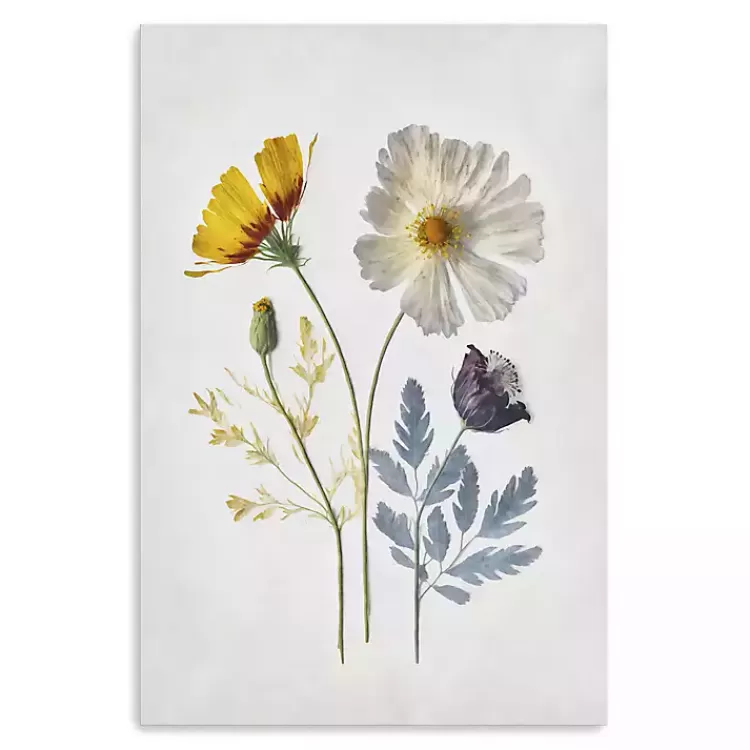 Pressed Flower Memories II Canvas Art Print>Kirklands Home Discount