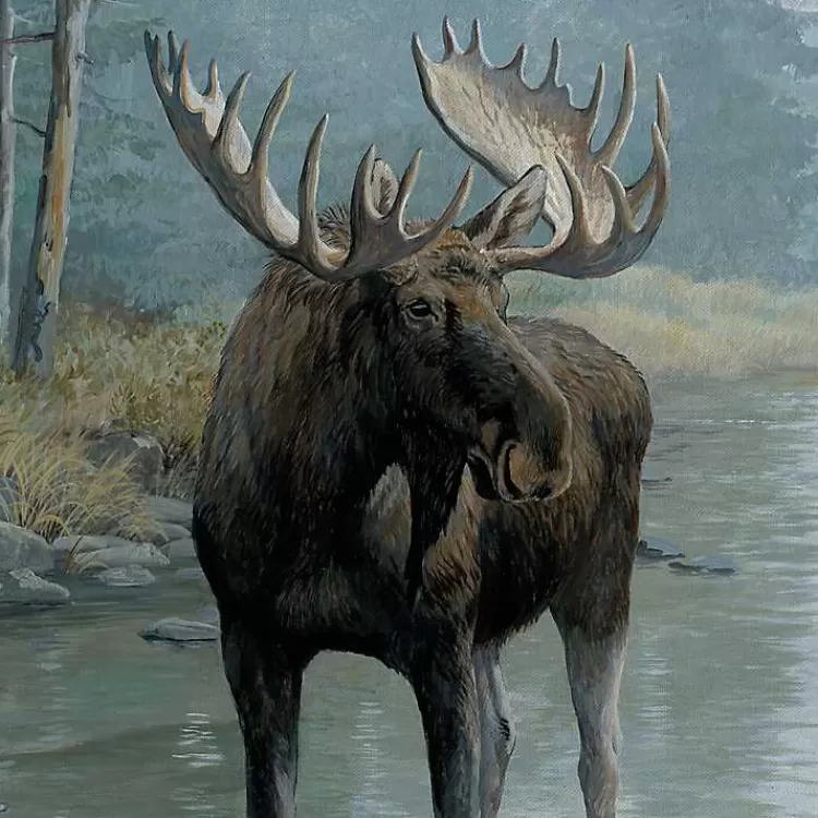 quiet_water_moose_framed_canvas_art_print_3.webp Quiet Water Moose Framed Canvas Art Print>Kirklands Home New