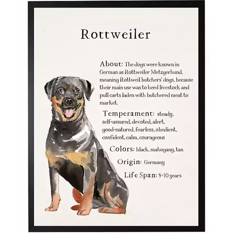 Rottweiler Facts Framed Wall Plaque>Kirklands Home New