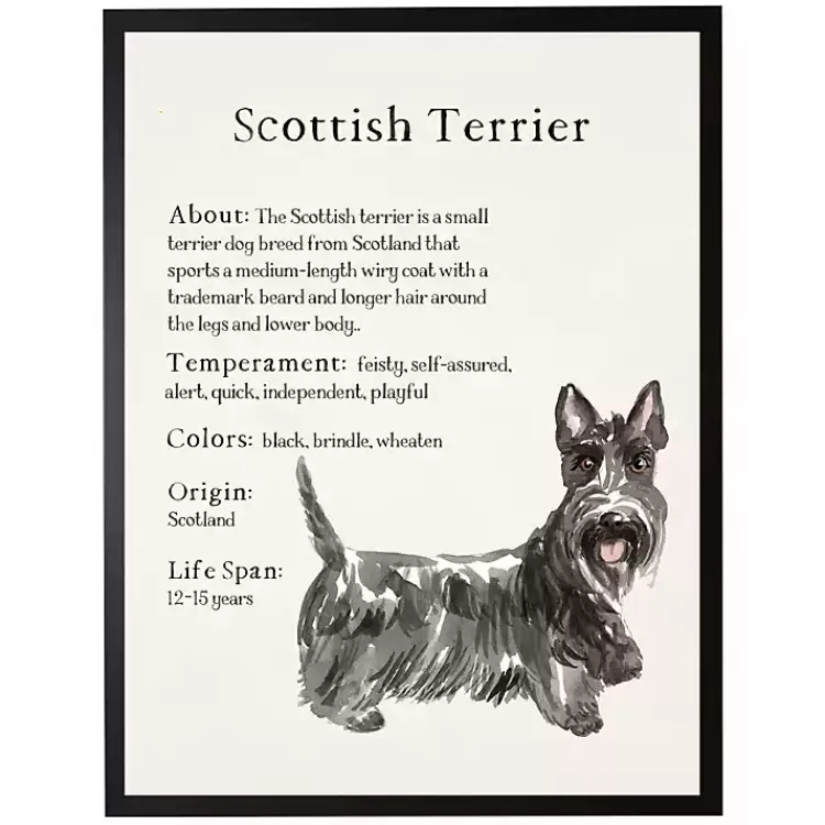 Scottish Terrier Facts Framed Wall Plaque>Kirklands Home Store