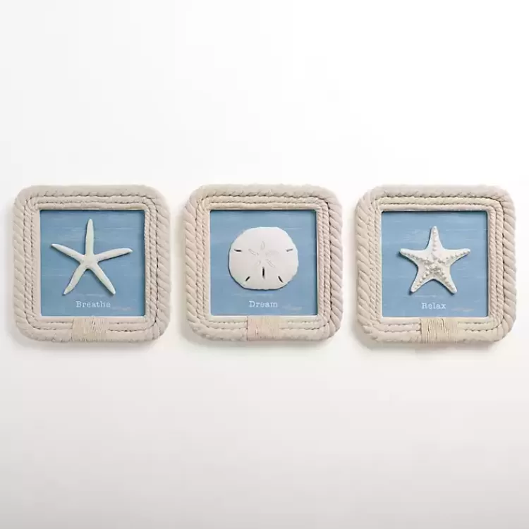 Seashell Rope Trim Wall Plaques, Set of 3>Kirklands Home Best