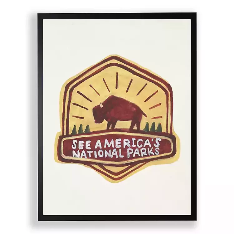 See America's National Parks Framed Art Print>Kirklands Home New