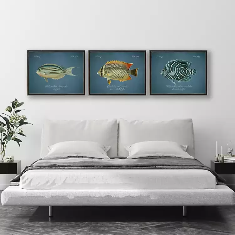 Semicircle Angelfish Framed Wall Art>Kirklands Home Clearance