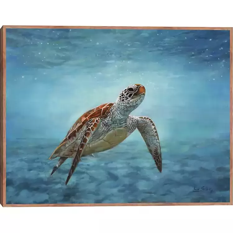 Serene Sea Turtle Framed Canvas Art Print>Kirklands Home Outlet
