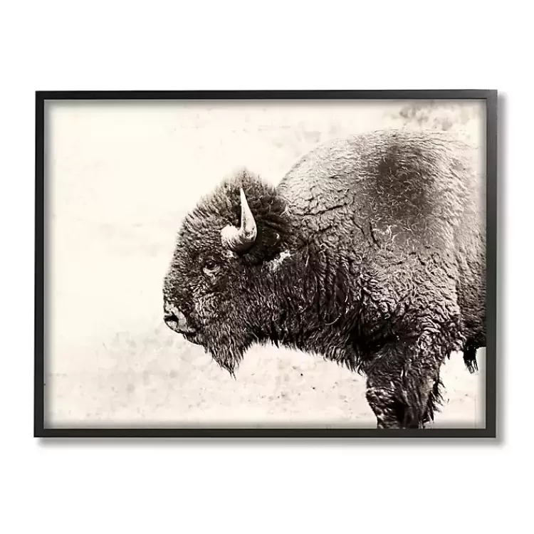 Shaggy Buffalo Black Framed Canvas Art Print>Kirklands Home Discount