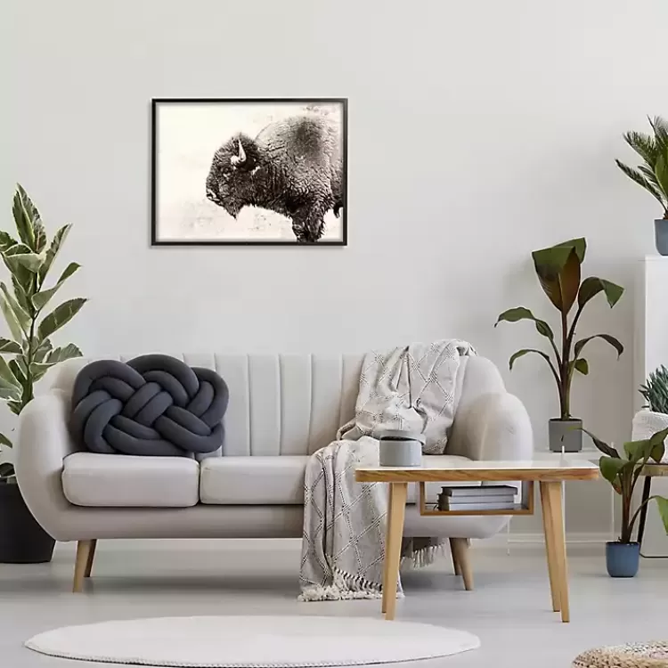 Shaggy Buffalo Black Framed Canvas Art Print>Kirklands Home Discount