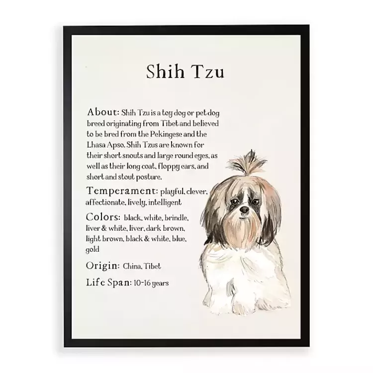 Shih Tzu Facts Framed Wall Plaque>Kirklands Home Cheap