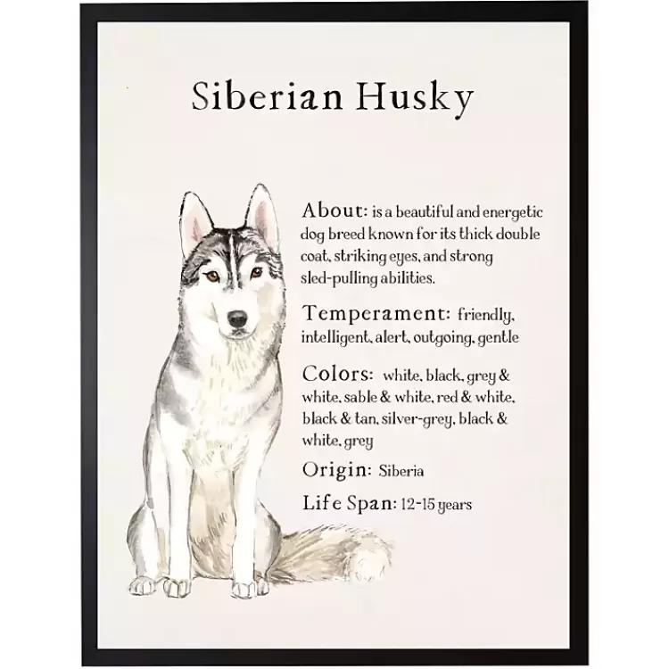Siberian Husky Facts Framed Wall Plaque>Kirklands Home Store