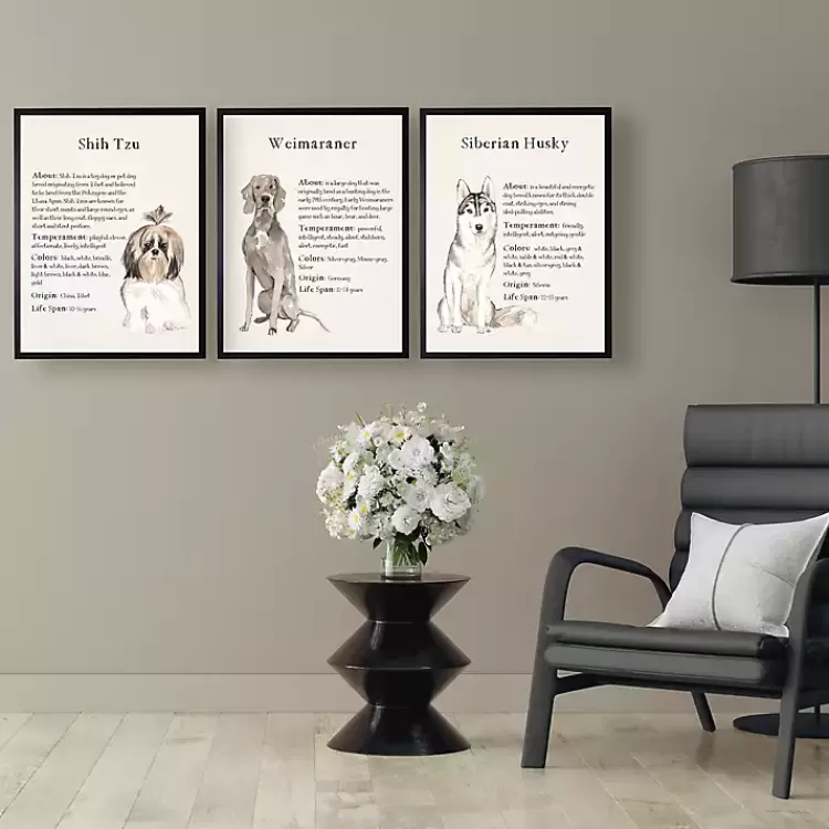 Siberian Husky Facts Framed Wall Plaque>Kirklands Home Store