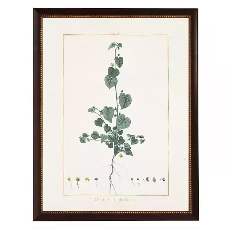 Sida Greenery Black Beaded Framed Art Print>Kirklands Home Hot