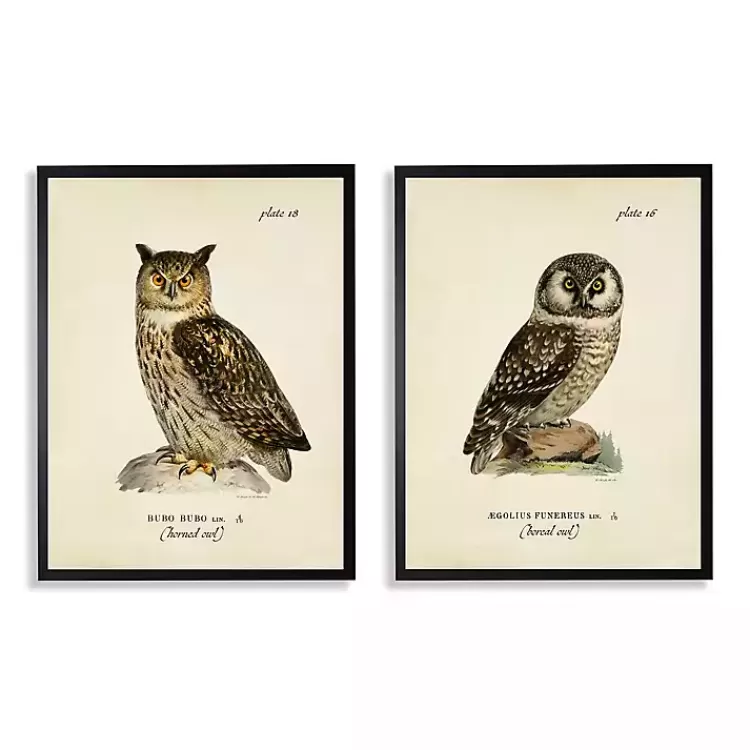 Sitting Owls Black Framed Art Prints, Set of 2>Kirklands Home Clearance