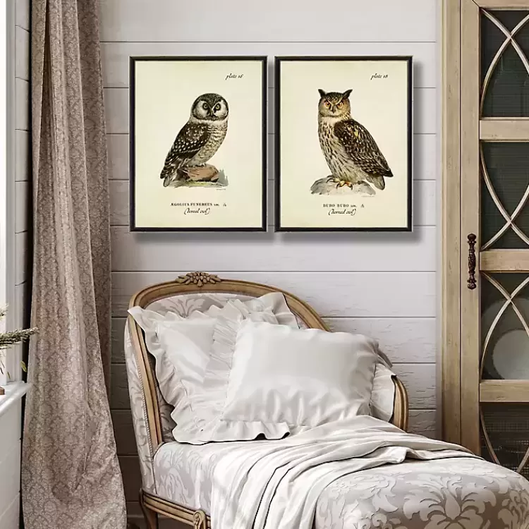 Sitting Owls Black Framed Art Prints, Set of 2>Kirklands Home Clearance