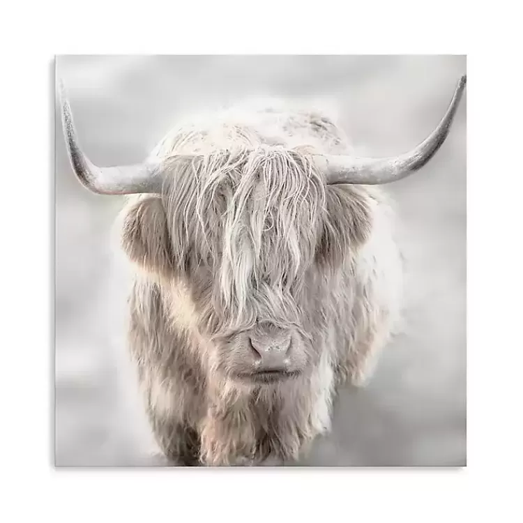 Soft Solo Highland Giclee Canvas Art Print>Kirklands Home Shop