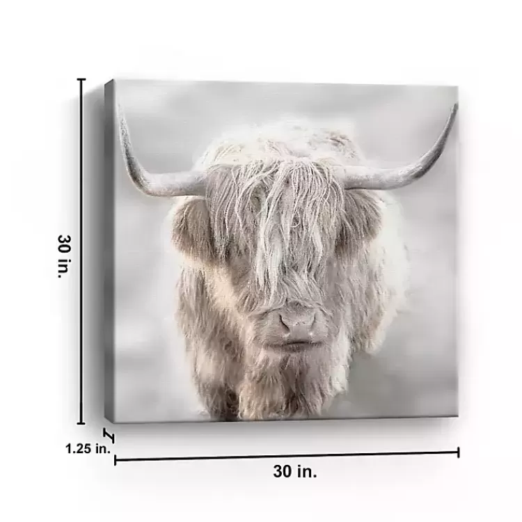 soft_solo_highland_giclee_canvas_art_print_2.webp Soft Solo Highland Giclee Canvas Art Print>Kirklands Home Shop