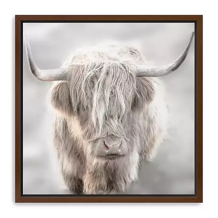 Solo Highland Cow Framed Canvas Art Print, 40x40>Kirklands Home Online