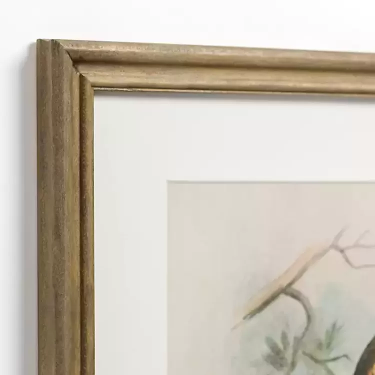 Tengmalm Owl Framed Art Print>Kirklands Home Best