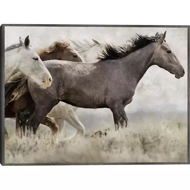 Thunder Ridge Distressed Framed Canvas Art Print>Kirklands Home Outlet