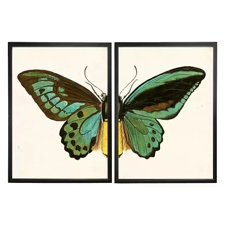 Turquoise Butterfly Framed Art Prints, Set of 2>Kirklands Home Best