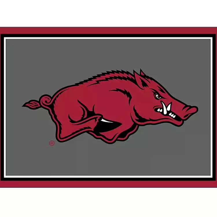 University of Arkansas Area Rug, 3x4>Kirklands Home Best