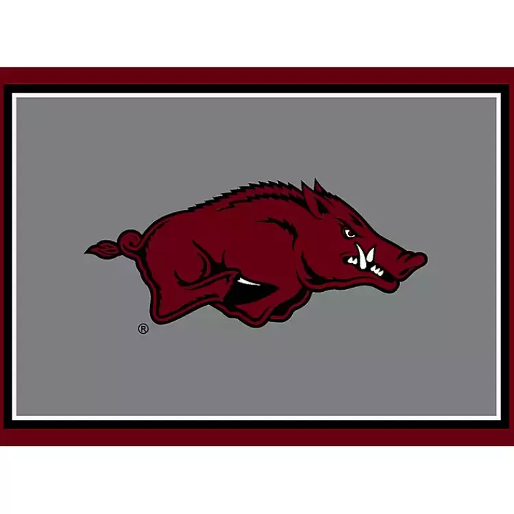 University of Arkansas Area Rug, 4x6>Kirklands Home Cheap