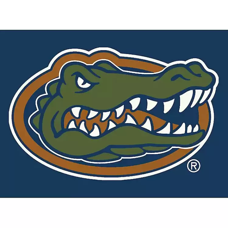 University of Florida Area Rug, 4x6>Kirklands Home Outlet