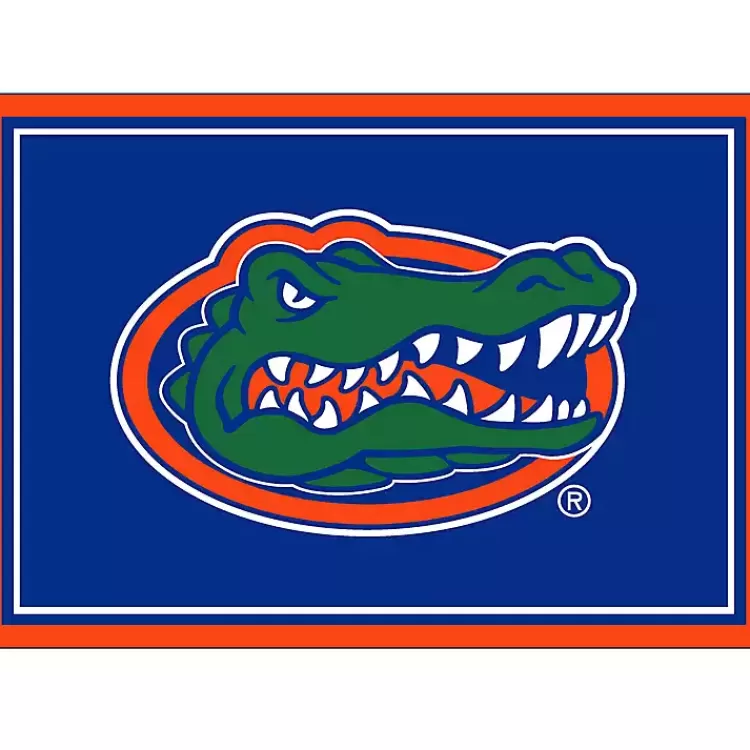 University of Florida Area Rug, 3x4>Kirklands Home Online