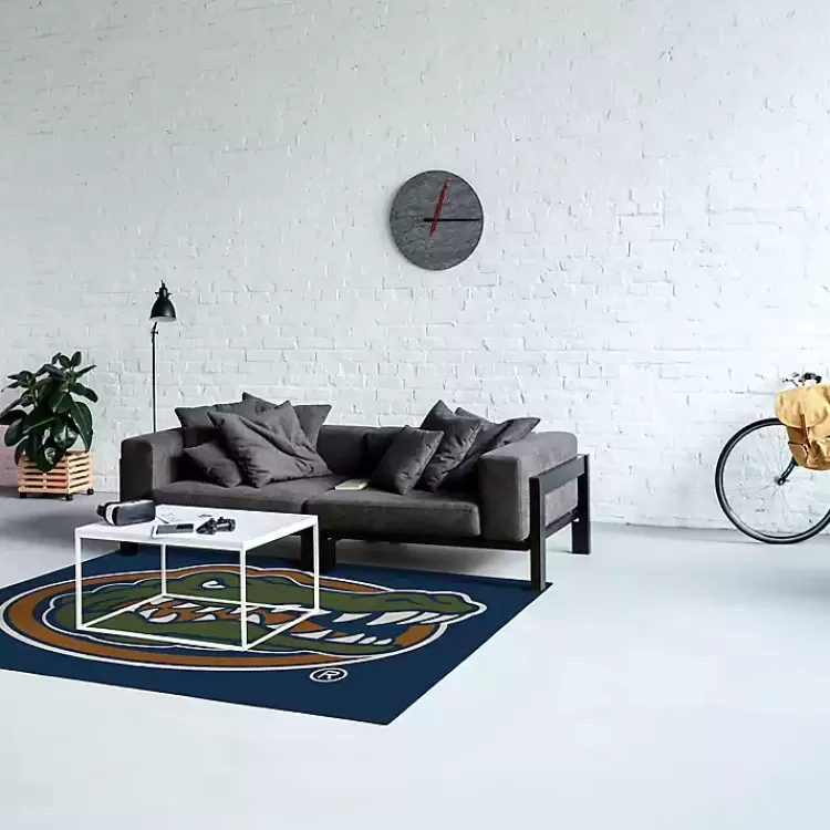University of Florida Area Rug, 4x6>Kirklands Home Outlet