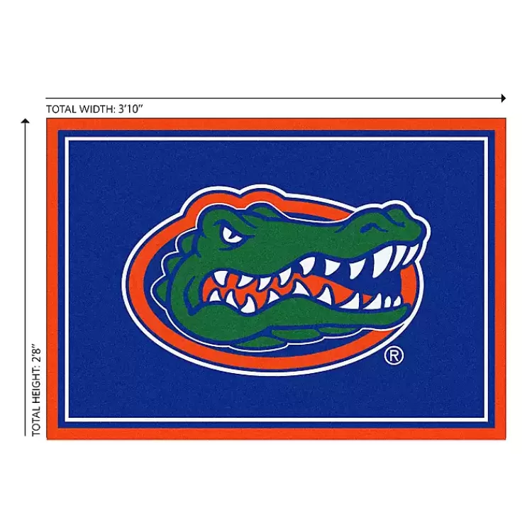 University of Florida Area Rug, 3x4>Kirklands Home Online