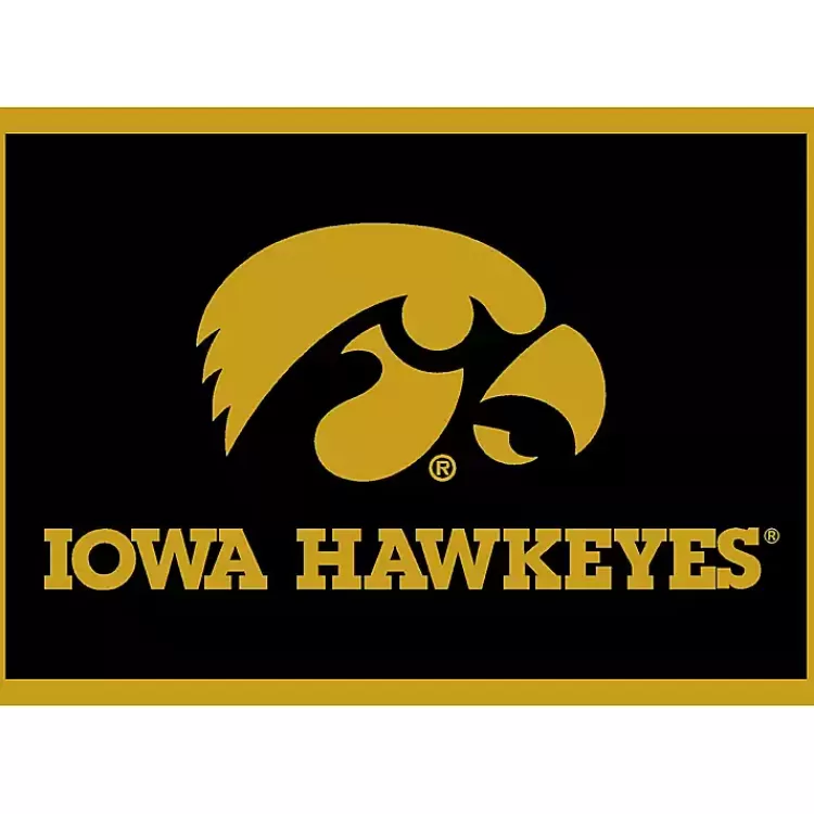 University of Iowa Area Rug, 4x6>Kirklands Home Online