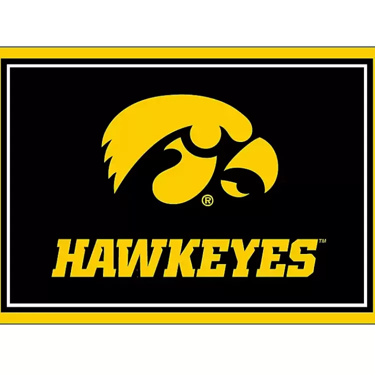 University of Iowa Area Rug, 3x4>Kirklands Home Fashion