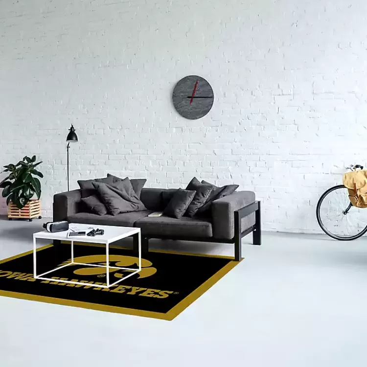 University of Iowa Area Rug, 4x6>Kirklands Home Online