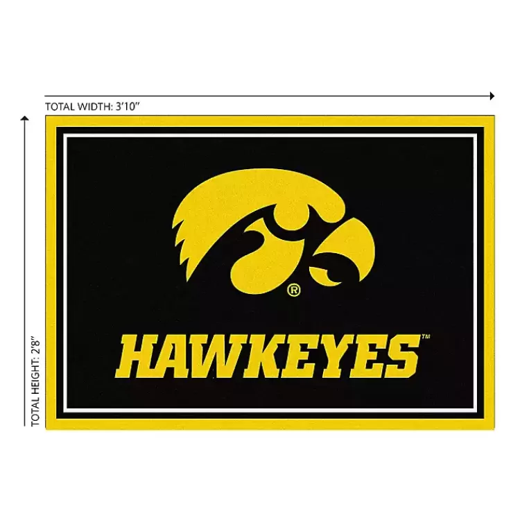 University of Iowa Area Rug, 3x4>Kirklands Home Fashion