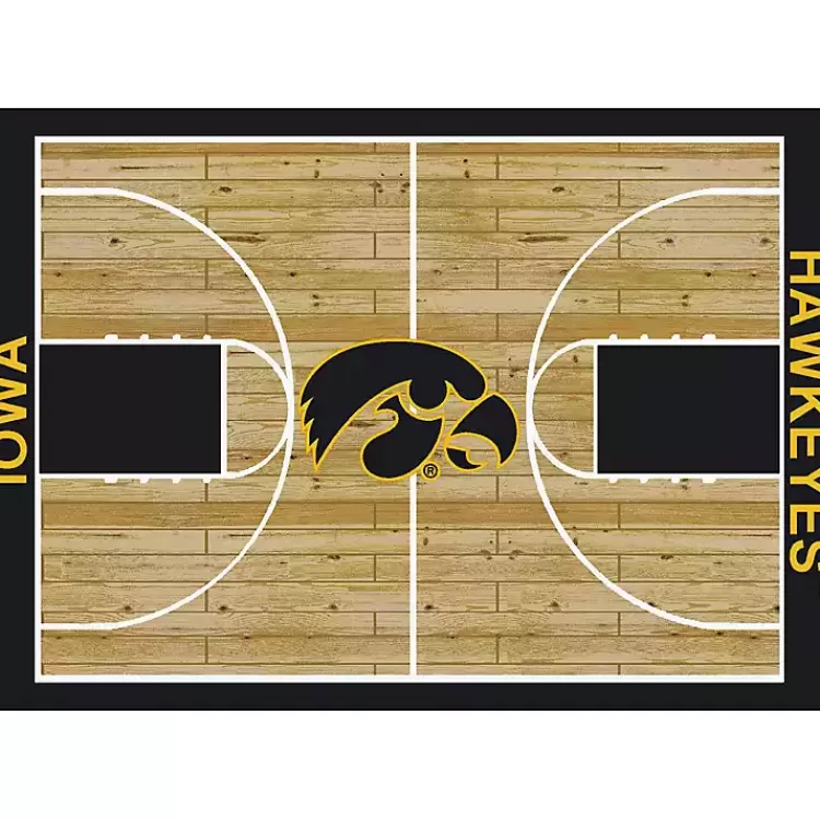 University of Iowa Courtside Area Rug, 4x6>Kirklands Home Shop