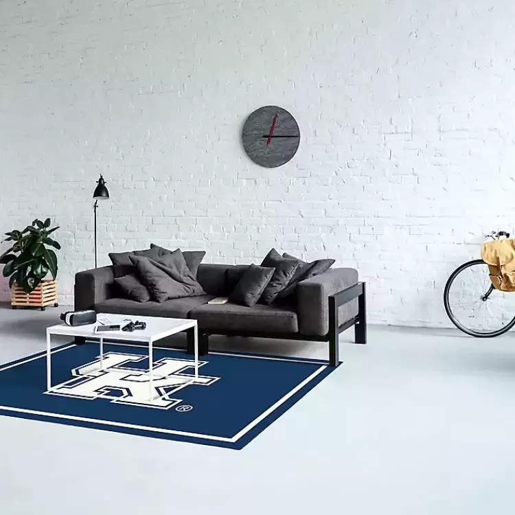 University of Kentucky Area Rug, 4x6>Kirklands Home Hot