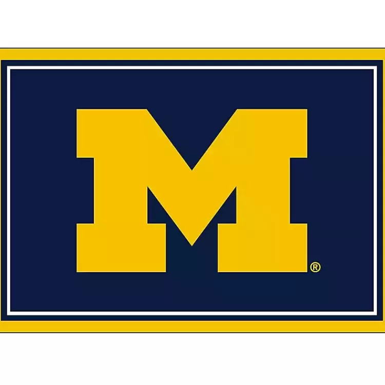 University of Michigan Area Rug, 3x4>Kirklands Home Best