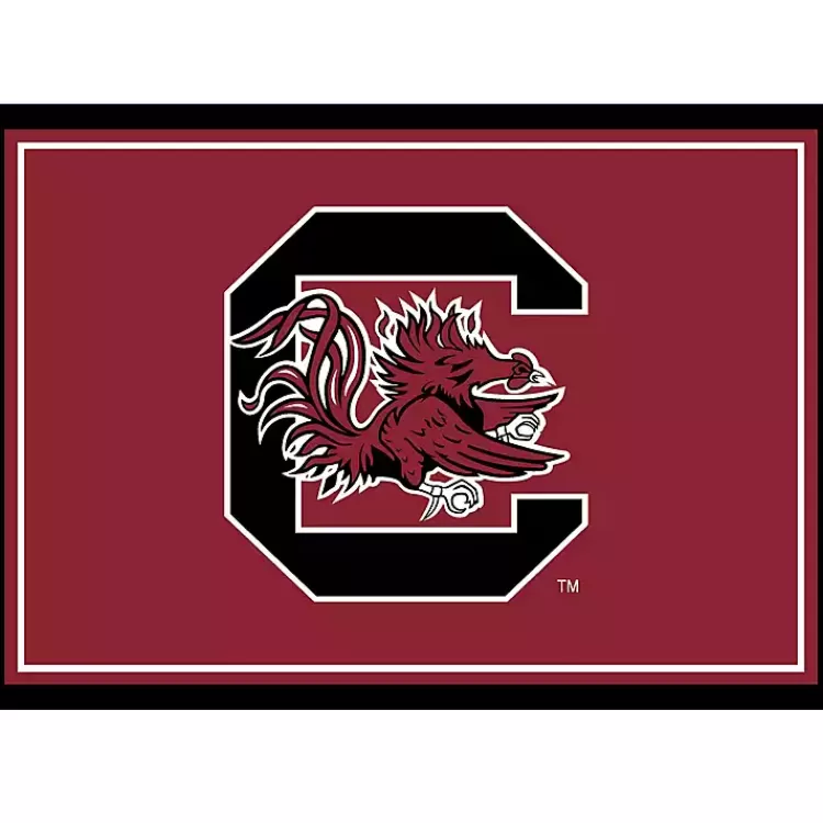 University of South Carolina Area Rug, 3x4>Kirklands Home New