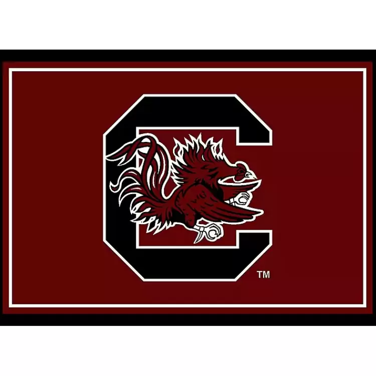 University of South Carolina Area Rug, 4x6>Kirklands Home Shop