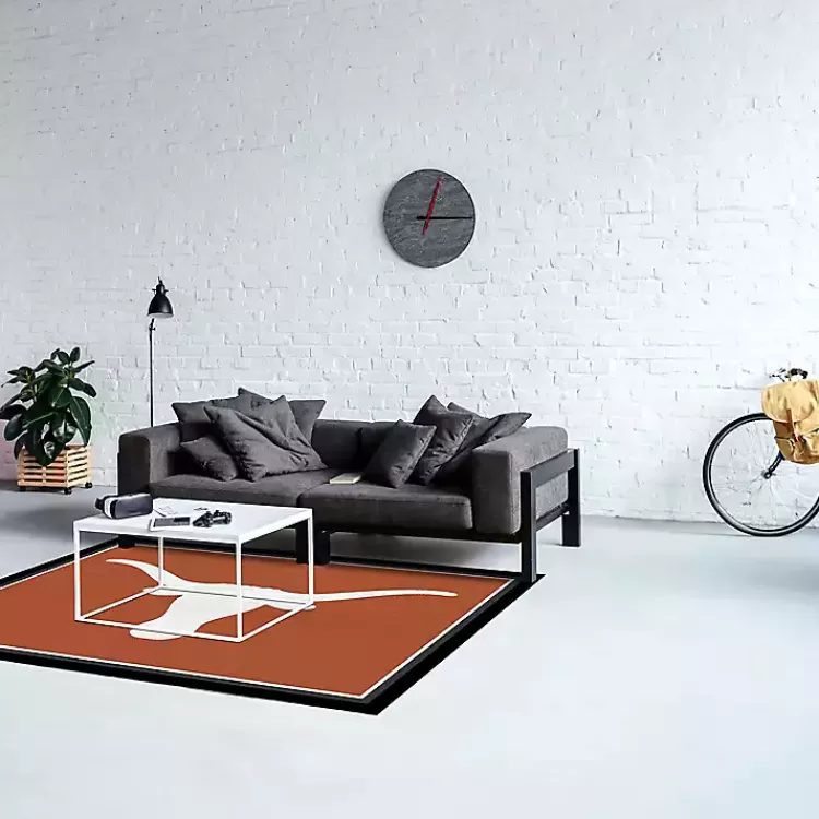 University of Texas Area Rug, 4x6>Kirklands Home Discount