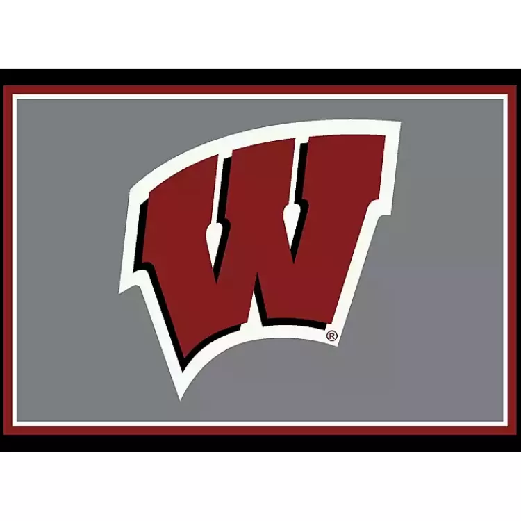 University of Wisconsin Area Rug, 4x6>Kirklands Home Fashion