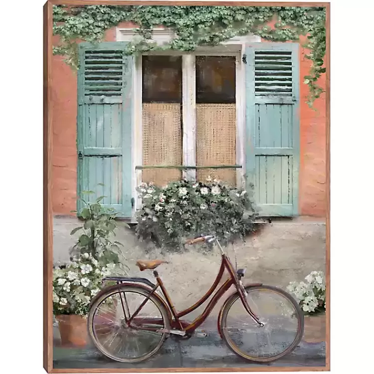 Velo de Montpellier Framed Canvas Art Print>Kirklands Home Hot