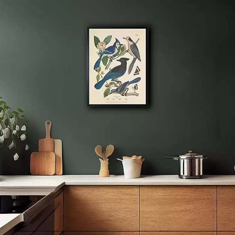 Vintage Blue Jays Birds Framed Art Print>Kirklands Home Best
